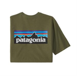 Patagonia Mens P-6 Logo Responsibili-Tee, Wyoming Green