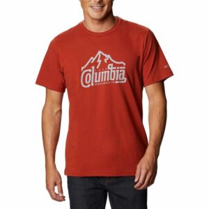 Columbia Path Lake Graphic Tee II Mens, Dark Sienna Summit