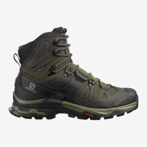 Salomon Quest 4 GTX Mens, Olive Night / Peat