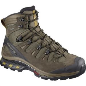 Salomon Quest 4D 3 GTX Mens, Wren / Bungee Cord