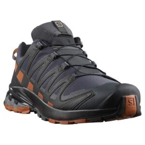 Salomon XA Pro 3D v8 GTX Mens, Ebony / Caramel Cafe