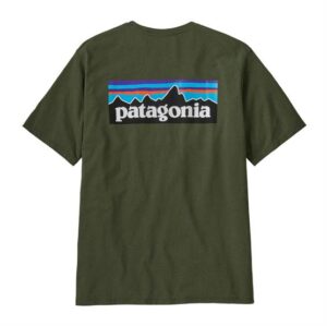 Patagonia Mens P-6 Logo Responsibili-Tee, Torrey Pine Green