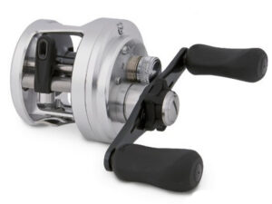 Shimano Calcutta D