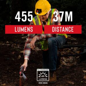 COAST FL60R Pandelampe