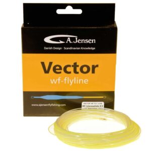 A. Jensen Vector Intermediate - #6