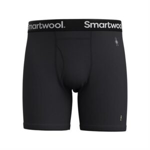 Smartwool Mens Merino Boxer Brief, Black