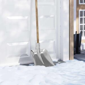 Skovlhoved Sølv 45 x 38 cm Aluminium