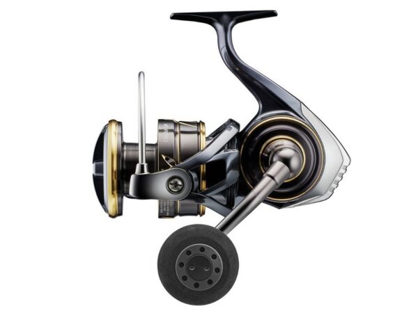 Daiwa 22 Caldia SW -5000D-CXH