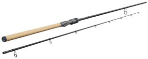 Sportex Airspin RS-2 Seatrout - 10'1" - 10-38g
